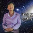세미백