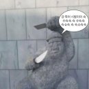 학포야영장 - 2216 | 학포야영장