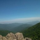 일박이일 B 이미지