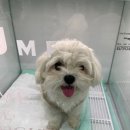 성곡중학교 이미지