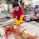 강구수산회대게센타 | 영덕 강구 대게 포장 어디서 할까? 영덕대게센타42호 선택한 이유