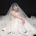 팔렛필즈(Palet Peelz)