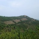 수림 아시아경제