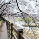 묘곡 경로당 이미지