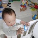 [엄마기록]이유식 큐브 만들기 ,문센 ,잼스튜디오 촬영