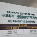 백운회계법인 이미지