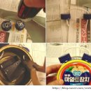 다보참치 이미지