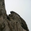 봉황봉 Daum카페