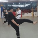 용성태권도장 이미지