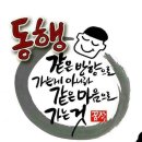 봄의왈츠 "청산도"유채꽃 산행(1) 이미지