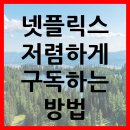 넷플릭스 저렴하게 구독하는 방법 이미지