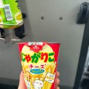 삿포로 여행 3일차 비에이투어, 스즈란, 스프카레사무라이, 교자제조소, 시키마르셰