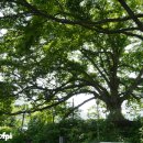 호롱불마을 이미지