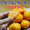 김재식농장 | 청정제주감귤 서귀포감귤 추천합니다
