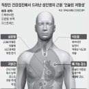 분당21세기의원 조선비즈