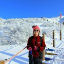1월1~3일(2박3일) 제주도 한라산, 윗세오름 눈산행, 올래길 이미지