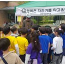 수완초교 이미지