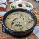 봉화 고지포인트