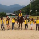 승마대리운전