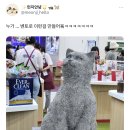 고양이 화장실 모래로 미술한 부스 이미지