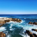 해조대 민박 | 양양 하조대 탐방