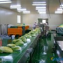 올리고마을영농조합법인 이미지