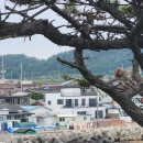 삼정리224 이미지