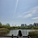 한아름어린이공원 | 부천 수피아 식물원 후기, 상동호수공원 산책까지