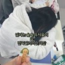 한영매점 | 또 다시 돌아온 3~