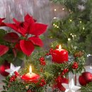 언제나이화약국 이미지