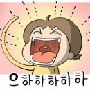 갑오정육점식당