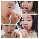 엔젤유치원 | 치아 속 음식 찌꺼기?? 빼내는 비지엔젤 어린이 치실