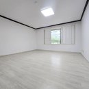 신평 신익강변 이미지