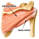 프러스메디칼 이미지