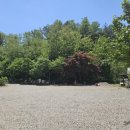 환희네 꿀벌농원 이미지