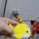 정규동의 웰빙건강 이미지