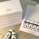 Ylang Ylang | 일랑(YLANG) - 더치 커피 답례품 구매후기! 간단한 퇴사선물로 돌리기 좋은 선물