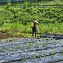 경도농장 이미지