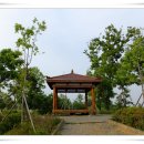 매봉초교 이미지