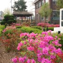 원평초등학교 이미지