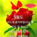 대일부동산 이미지