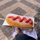 얼음왕국 조치원행복점 | 무주 덕유산 향적봉 설산 추천 국내 눈꽃산행 상고대 겨울왕국 덕유산 곤도라 평일 웨이팅 후기