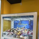 주니 퍼니 이미지