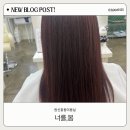 대전 원신흥동미용실 너를,봄 레드염색 후기