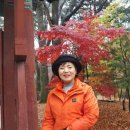 해인사소리길 이미지