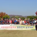 거창대성고등학교 이미지