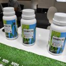 보란파마 이미지