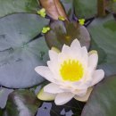 진동산막 이미지