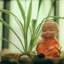 참마음유치원 네이버블로그