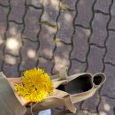 또다른세탁 이미지